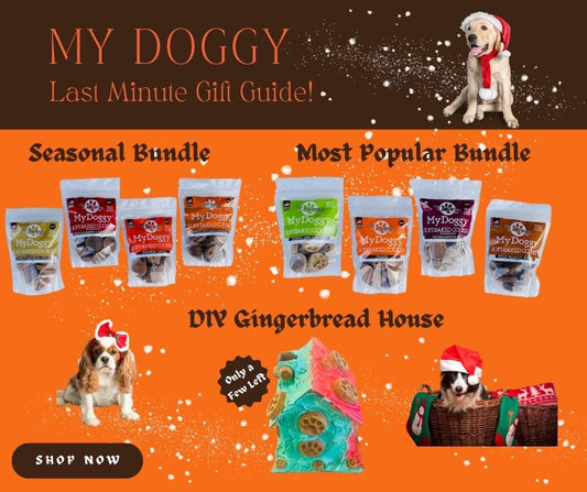 Last Minute My Doggy Treats Gift Guide