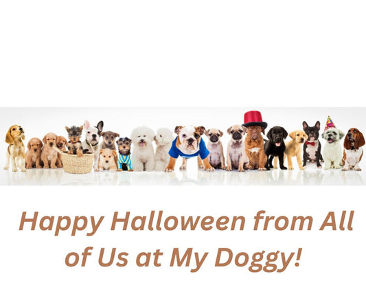 picture of dogs in Halloween costumes
